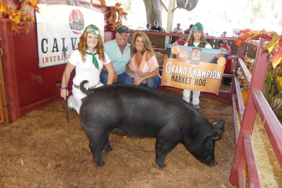 Grand champion market hog award