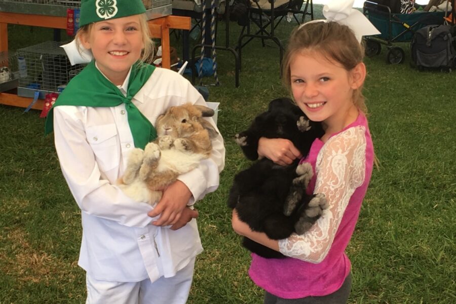 Kids rabbits - 4H