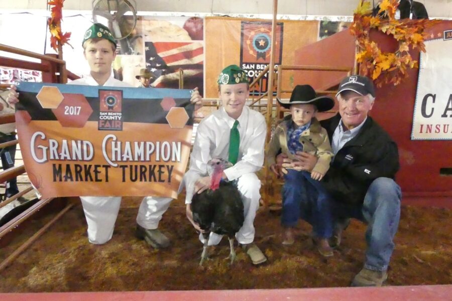 Grand champion market turkey poultry market award